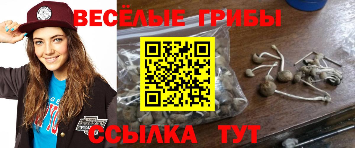 Галлюциногенные грибы мухоморы  Псилоцибиновые грибы прущие грибы  Красноуфимск  Вход с VPN 